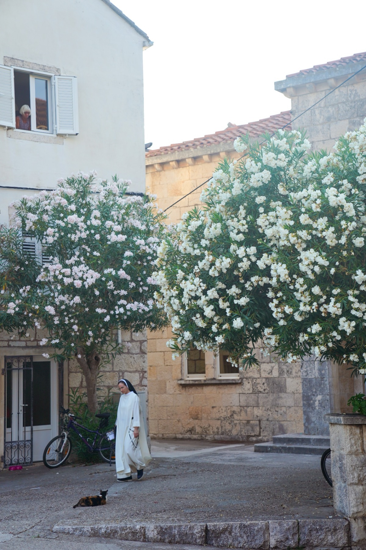 A nun walks past white flowering trees in a stone village in Croatia, a black cat at her feet