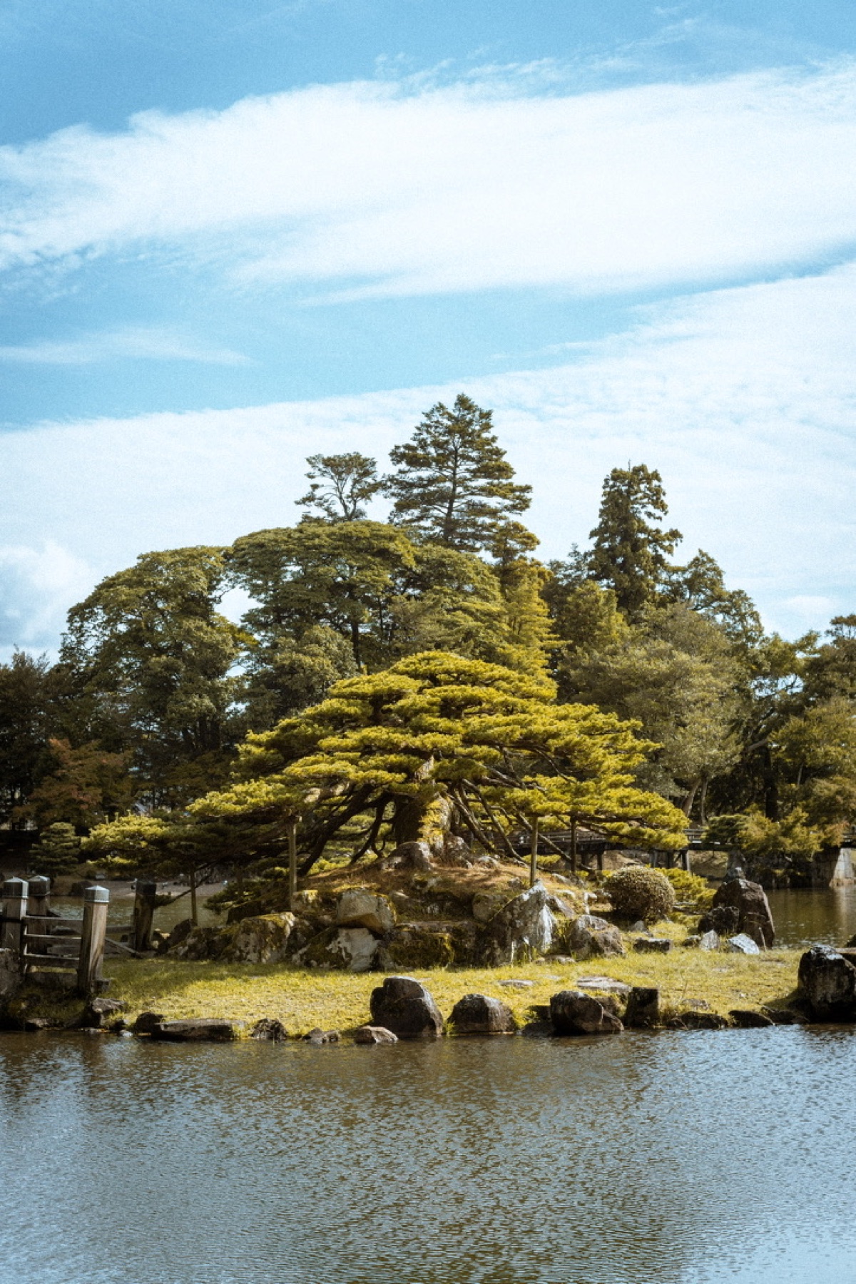 A sculpted pine on a mossy island in a still garden pond, clouds streaking the sky