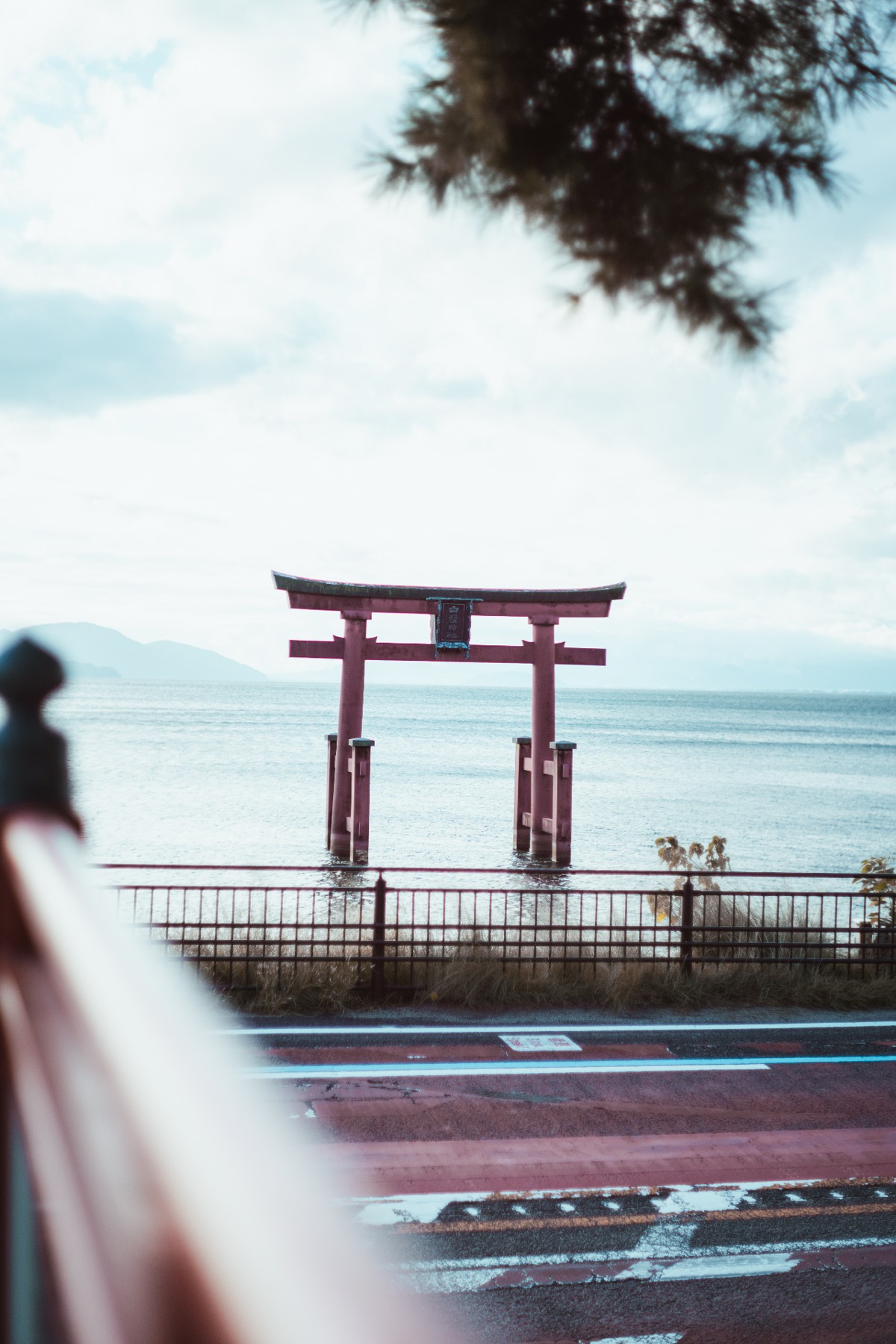 A red torii gate standing in Lake Biwa, seen past a roadside railing and a pine branch