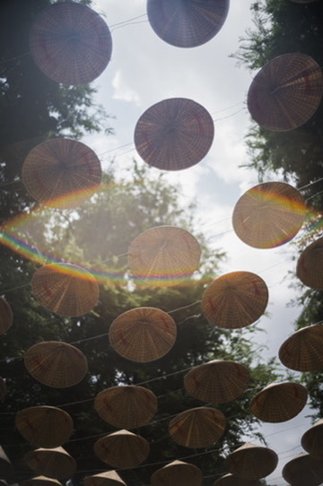 Conical hats hung overhead against the sky, a rainbow flare through the leaves
