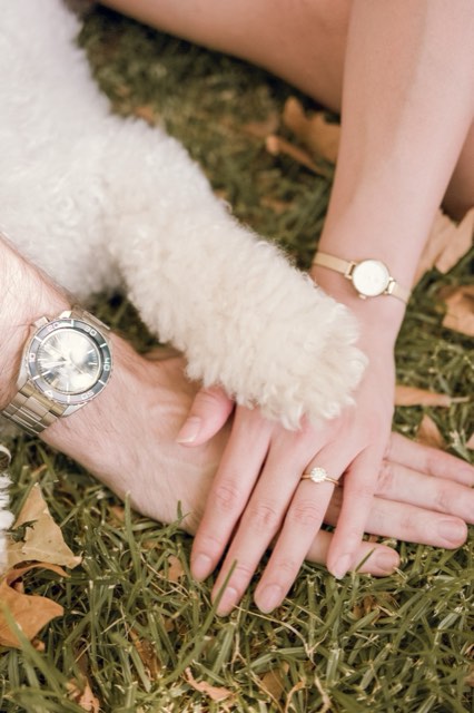 Close-up of their hands, Christina's engagement ring and their watches resting on the grass beside Marlo's paw